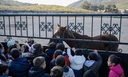 İzmirli minik kalplere hayvan sevgisi aşılanıyor