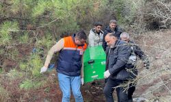 Kendisinden haber alınamayan 29 yaşındaki genç ağaçlık alanda ölü bulundu