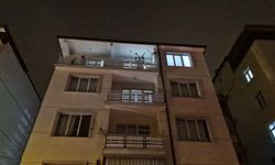 Korkunç aile faciası: Genç kadını öldüren koca hayatına son verdi!