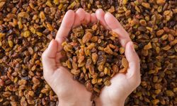 Kuru üzümde küresel üretim geriledi, liderlik Türkiye'de kaldı