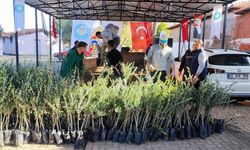 Manisa Büyükşehir'den yangın mağduru üreticilere fidan desteği