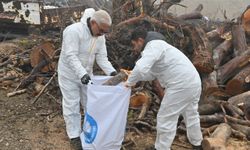 Manisa'da budanan ağaçlar yakacağa dönüşüyor