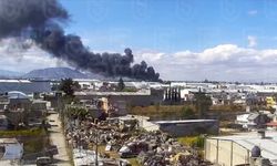 Meksika’da küçük uçak düştü: En az 7 kişi hayatını kaybetti