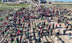 Menemen'de "İyi ki Doğdun Bebek Hatıra Ormanı" kuruldu