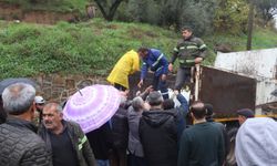 Nazilli'de toprak yeşeriyor: Beş bin ağaç fidanı dağıtıldı