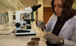 Organik solüsyon tarımsal ürünlerde raf ömrünü uzatıyor