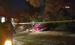 Otomobiliyle takla atan sürücü çarptığı ağacı kökünden söktü: 1 ölü