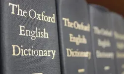 Oxford yılın kelimesini seçti: Öfke yemi nedir?
