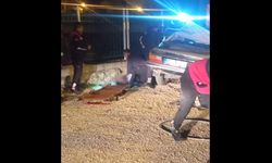 Park halindeki kamyona çarpan otomobilde 1 kişi hayatını kaybetti