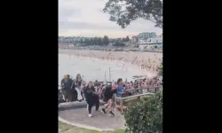 Avusturalya'da plajda silahlı saldırı: Yaralılar var, 2 kişi gözaltında