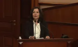 Prof. Dr. Şule Özsoy Boyunsuz kimdir, nereli, kaç yaşında?