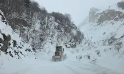 SON DAKİKA | Çığ düştü, çoban altında kaldı ihbarı yapıldı