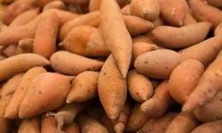 Tatlı Patates nasıl yenir?