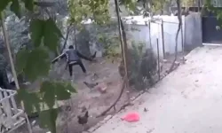 Tavukları tek tek çaldı, güvenlik kamerasına takıldı: Şüpheli tutuklandı!