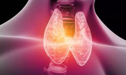 Tiroit hormonları, metabolik denge için kritik önemde