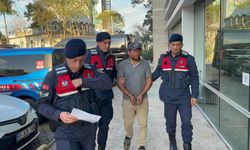 Traktörle çekilen ağaç dalı ölüme neden oldu: Sürücü tutuklandı