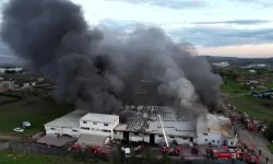 Tuzla'da fabrika yangını: Çok sayıda ekip bölgede!