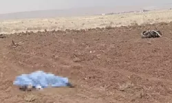 28 yaşındaki Üsteğmen motosikleti ile tarlaya savrularak hayatını kaybetti
