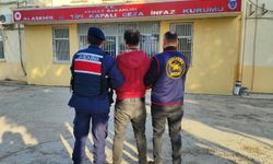 Üzüm bağlarında korku dolu günler: Bıçaklı gaspçı cezaevine gönderildi