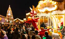 Wonder Village nedir? Wonder Village nerede?