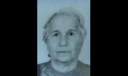 Yolda fenalaşan 76 yaşındaki kadın hayatını kaybetti