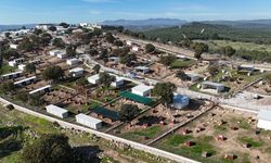 Yunusemre'de can dostlar güvende