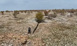 Yüz milyonlarca yıllık jeolojik geçmiş ortaya çıktı