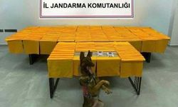 Zehir tacirlerine büyük darbe: Milyonlarca dozluk ‘uç’, binlerce hap ele geçirildi