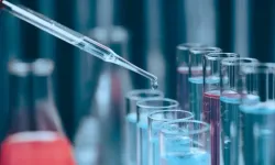 2025 bilimde dönüm noktası oldu