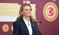 Efes Antik Kenti’ndeki inşaat faaliyetlerine tepki gösteren Ösen: Koruma değil, rant odaklı