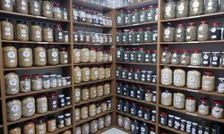 3 milyon ata tohumu, Muğla'dan tüm Türkiye'ye yayılacak