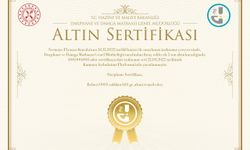 Altın S1 Sertifikası neden düşüyor? Altın S1 en fazla ne kadar düşer?