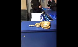 Beslenmesi yasak yılan koruma altına alındı