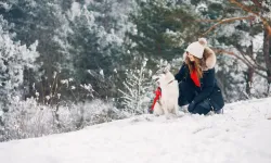 Bilim açıklıyor: Kar neden aslında beyaz değil?