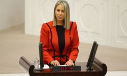 Çankırı'dan 'operasyon' açıklaması: Suçun bahanesi değil, kökü hedef alındı