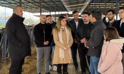 CHP'li Çelik'ten tarım vurgusu: "Üreten zarar ediyor, tüketen pahalıya satın alıyor"