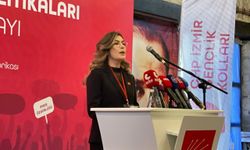 CHP'li Çelik'ten Ülkü Ocakları'na yanıt: Dilerseniz size de bir kova gönderelim!