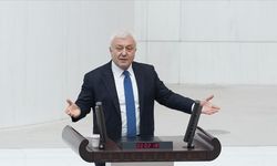 CHP'li Özkan, DSİ'yi göreve çağırdı: Su akar, İzmir bakar olmasın