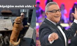 Mehmet Ali Erbil'in acı günü! 15 yıllık dostu Köpük’ü kaybetti