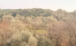 Gezmek için gittiği tarlada son nefesini verdi!