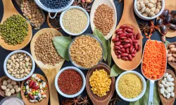 Hububat, bakliyat ve yağlı tohumlar sektörü 2025’te ihracat rekoru kırdı