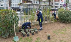 İzmir'in duraklarında yeşil dönüşüm başladı