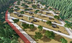 Kemalpaşa'da can dostlar için örnek hizmet: Bakımevi genişletildi, doğal yaşam alanı geliyor