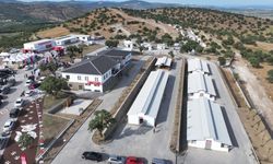 Manisa'da tartışmalı barınak kapatılıyor, nakil başlıyor