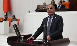 İYİ Partili Kırkpınar'dan 'ruhsatsız silah' alarmı: "Mevcut yasalar delik deşik, uygulamalar etkisiz"