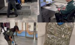 Mısır gevreği görünümlü zehir: Havalimanında kilolarca esrar yakalandı!