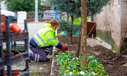 Narlıdere'de çevre düzenleme seferberliği: Kentin çehresi değişiyor