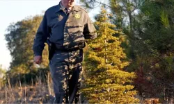 OGM 496 sözleşmeli personel alımı sonuçlarına nasıl bakılır?