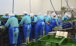 Su ürünleri ihracatında rekorun adresi Ege