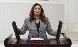 TÜİK verileri tartışma yarattı: Sevda Erdan Kılıç'tan 'işsizlik oranına' tepki!